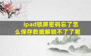 ipad锁屏密码忘了怎么保存数据解锁不了了呢