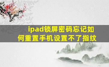 ipad锁屏密码忘记如何重置手机设置不了指纹