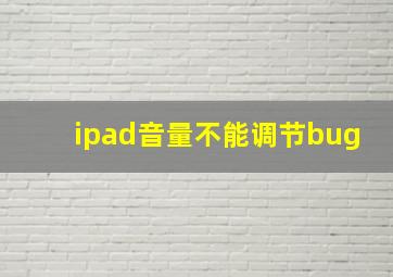 ipad音量不能调节bug