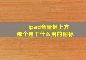 ipad音量键上方那个是干什么用的图标