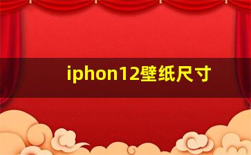 iphon12壁纸尺寸