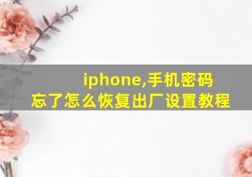 iphone,手机密码忘了怎么恢复出厂设置教程