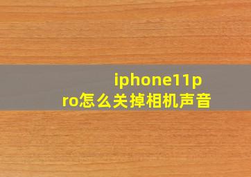 iphone11pro怎么关掉相机声音