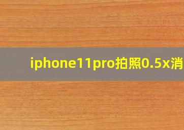 iphone11pro拍照0.5x消失