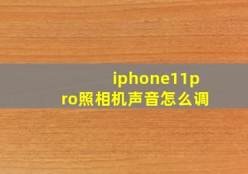 iphone11pro照相机声音怎么调