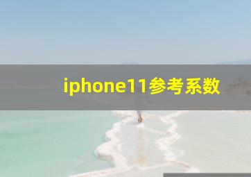 iphone11参考系数