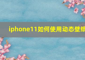 iphone11如何使用动态壁纸