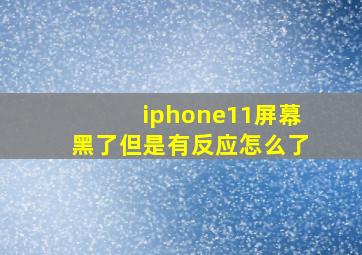 iphone11屏幕黑了但是有反应怎么了