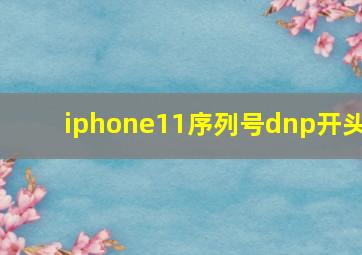 iphone11序列号dnp开头