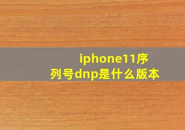 iphone11序列号dnp是什么版本