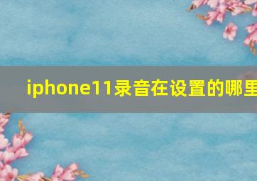 iphone11录音在设置的哪里