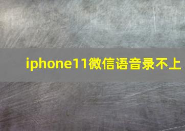 iphone11微信语音录不上