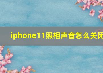 iphone11照相声音怎么关闭