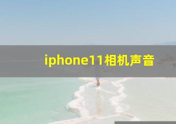 iphone11相机声音