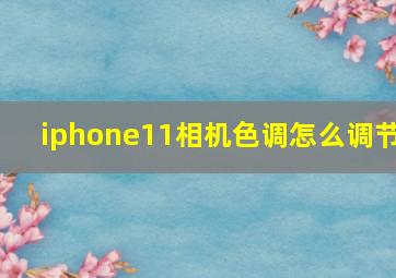 iphone11相机色调怎么调节