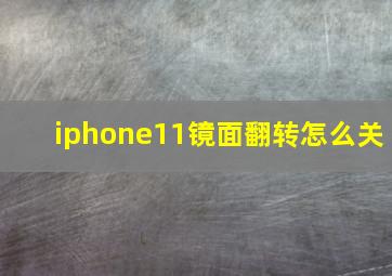 iphone11镜面翻转怎么关