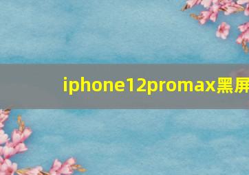 iphone12promax黑屏