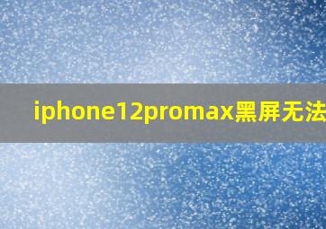 iphone12promax黑屏无法开机