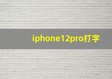 iphone12pro打字