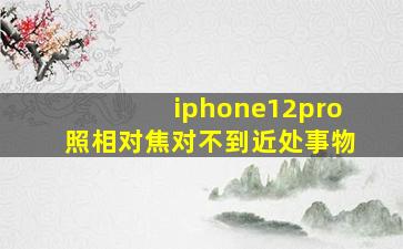 iphone12pro照相对焦对不到近处事物