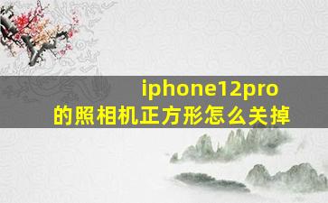 iphone12pro的照相机正方形怎么关掉