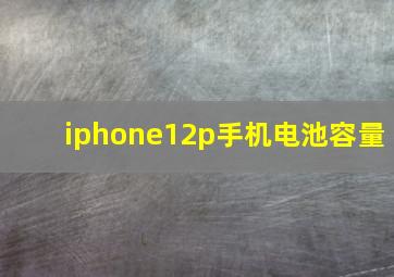 iphone12p手机电池容量