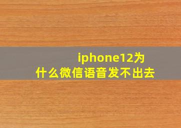 iphone12为什么微信语音发不出去