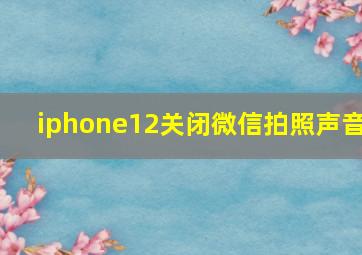 iphone12关闭微信拍照声音