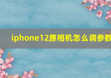 iphone12原相机怎么调参数