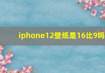 iphone12壁纸是16比9吗