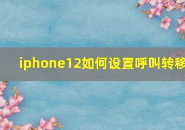 iphone12如何设置呼叫转移