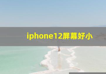 iphone12屏幕好小