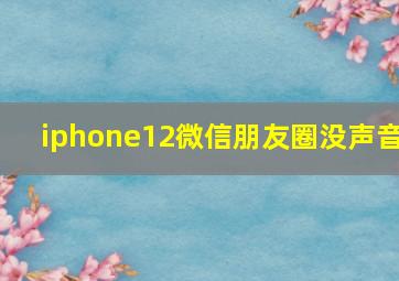 iphone12微信朋友圈没声音