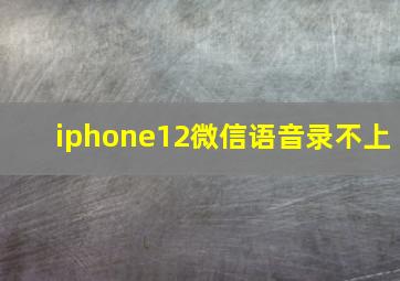 iphone12微信语音录不上