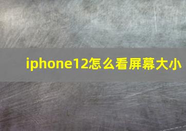 iphone12怎么看屏幕大小