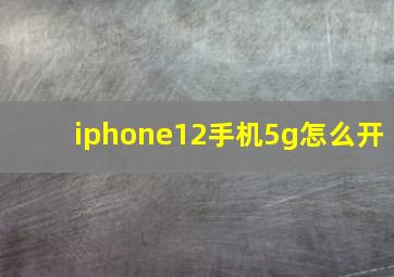 iphone12手机5g怎么开