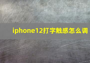 iphone12打字触感怎么调