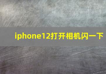 iphone12打开相机闪一下