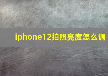 iphone12拍照亮度怎么调