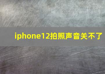 iphone12拍照声音关不了