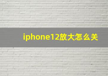 iphone12放大怎么关