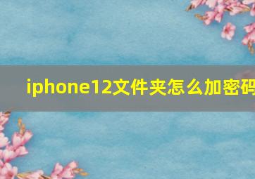 iphone12文件夹怎么加密码