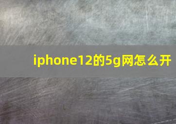 iphone12的5g网怎么开