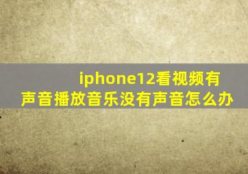 iphone12看视频有声音播放音乐没有声音怎么办