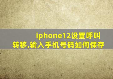 iphone12设置呼叫转移,输入手机号码如何保存