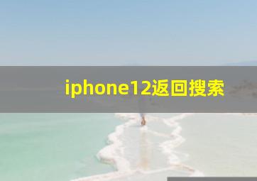 iphone12返回搜索