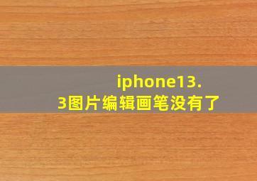 iphone13.3图片编辑画笔没有了