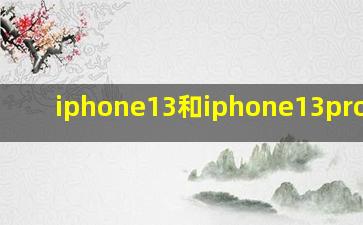 iphone13和iphone13pro配置