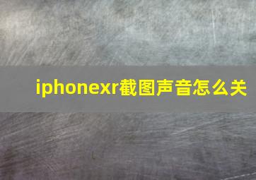 iphonexr截图声音怎么关