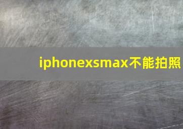 iphonexsmax不能拍照